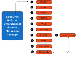 SalezLift's GoGrow OmniChannel Growth Marketing Package