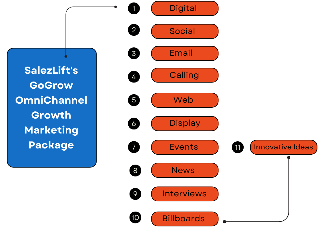 SalezLift's GoGrow OmniChannel Growth Marketing Package